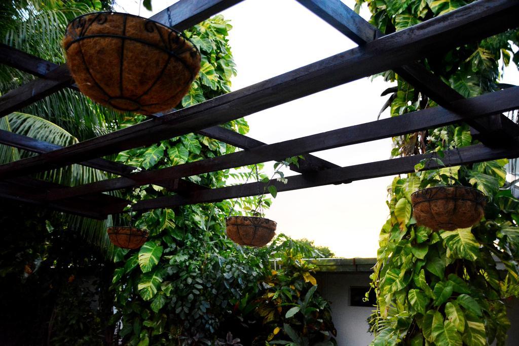 Hotel Europeo Managua Eksteriør bilde